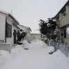 la grande nevicata del febbraio 2012 090